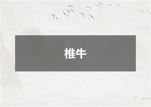 椎牛