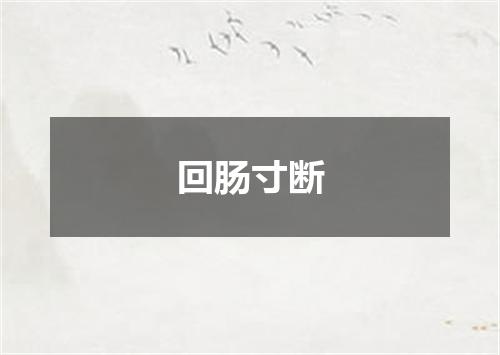 回肠寸断