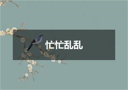 忙忙乱乱