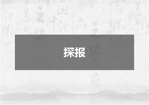 探报