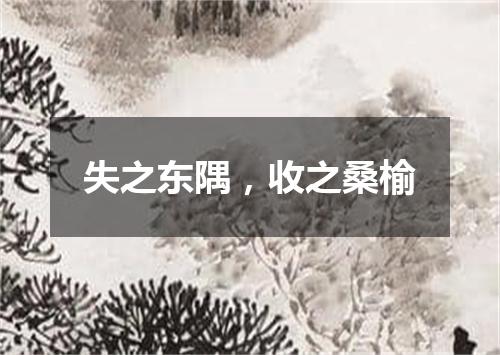失之东隅，收之桑榆