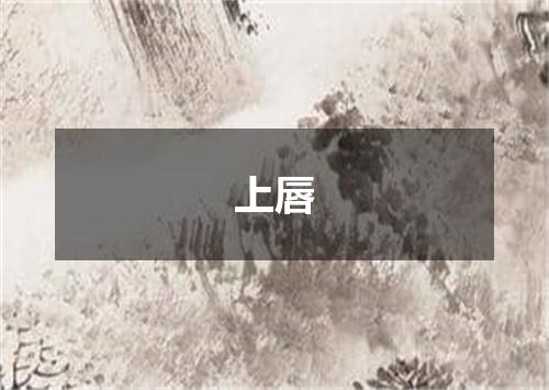 上唇