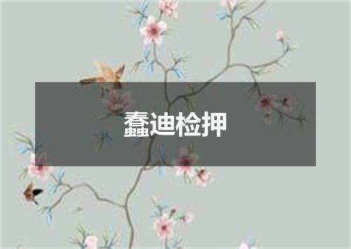 蠢迪检押