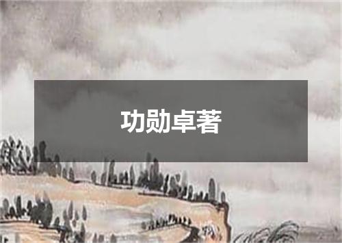 功勋卓著