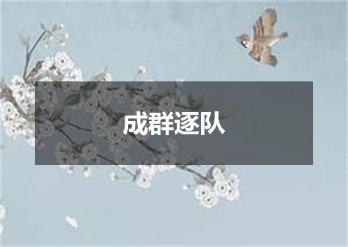成群逐队