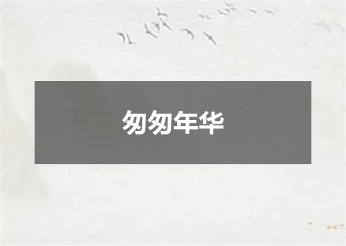 匆匆年华