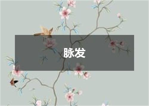 脉发