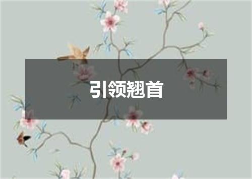 引领翘首