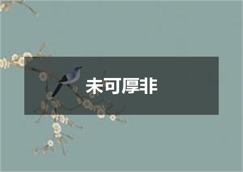 未可厚非