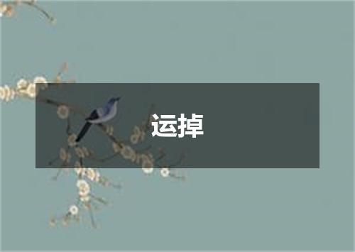 运掉