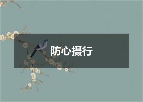 防心摄行