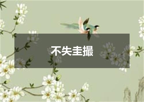 不失圭撮