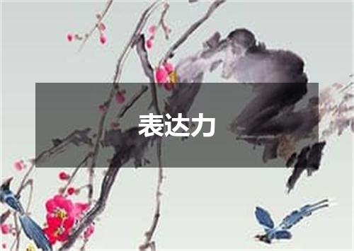 表达力