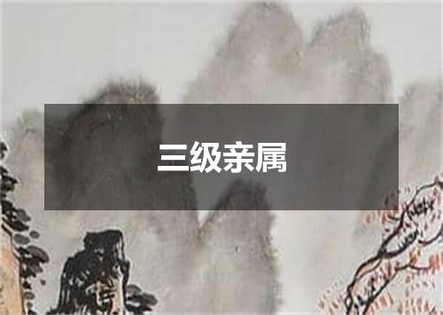 三级亲属