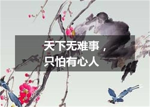 天下无难事，只怕有心人