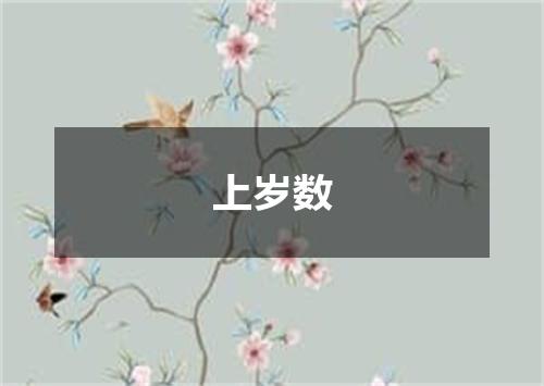 上岁数