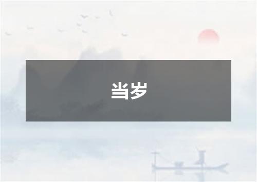 当岁