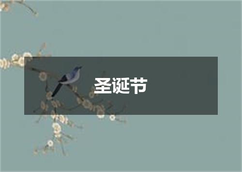 圣诞节