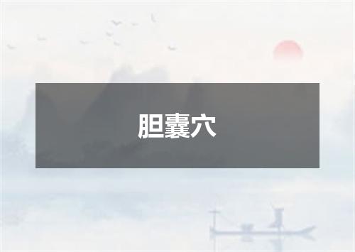 胆囊穴