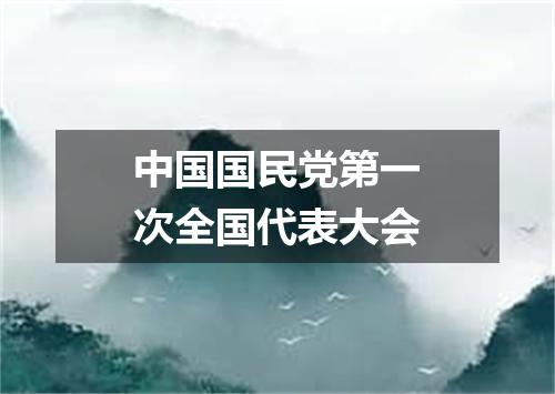中国国民党第一次全国代表大会
