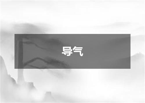 导气
