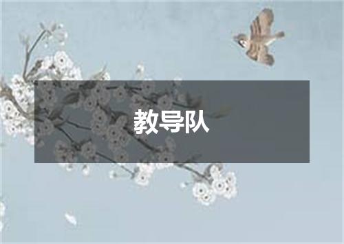 教导队