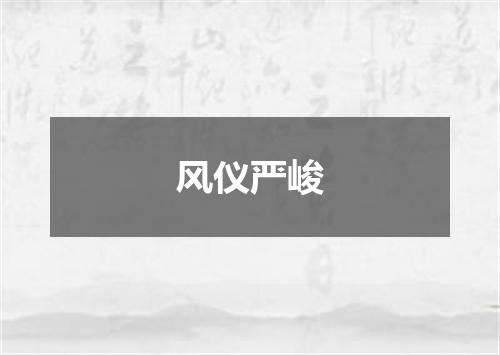 风仪严峻