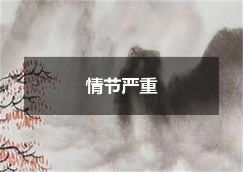 情节严重