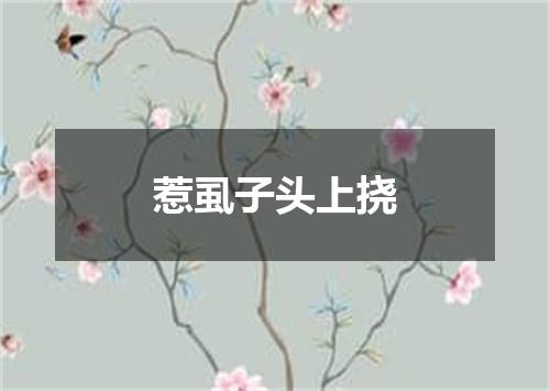 惹虱子头上挠