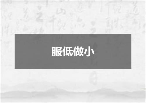 服低做小