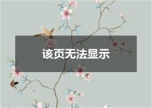 该页无法显示