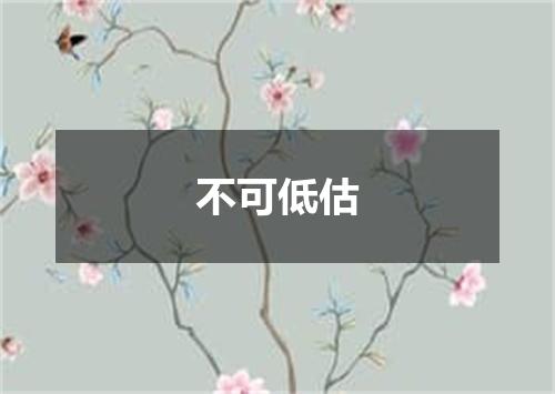 不可低估