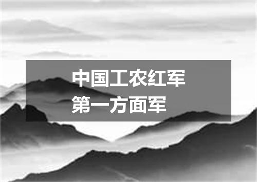 中国工农红军第一方面军