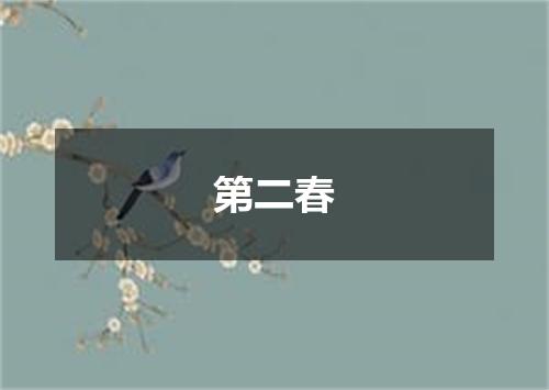 第二春