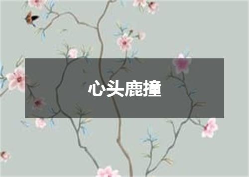 心头鹿撞