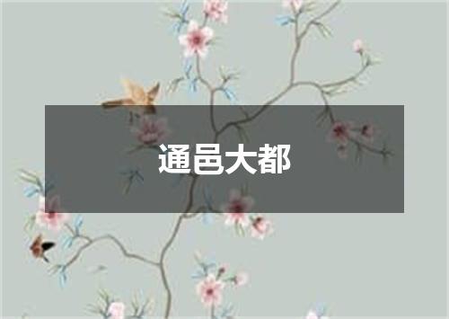 通邑大都