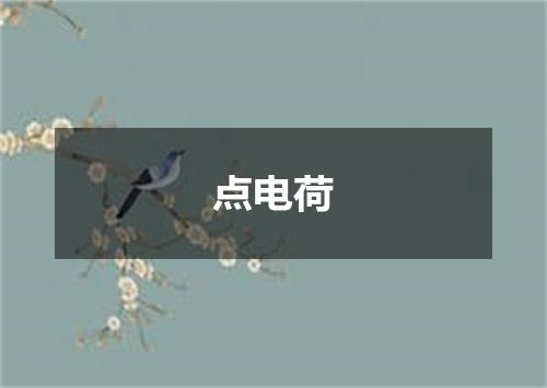 点电荷