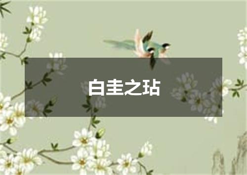 白圭之玷