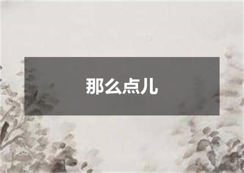 那么点儿