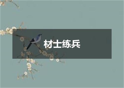 材士练兵