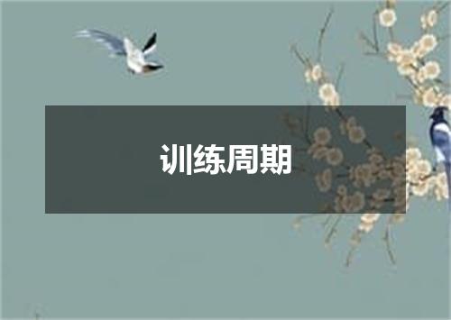 训练周期