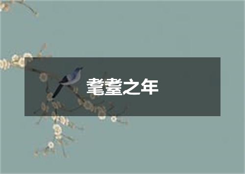 耄耋之年