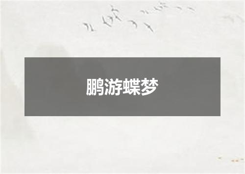 鹏游蝶梦