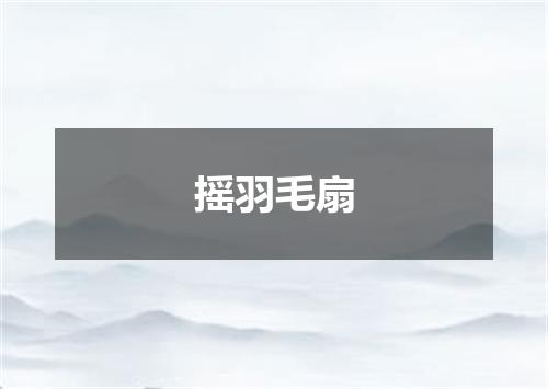 摇羽毛扇