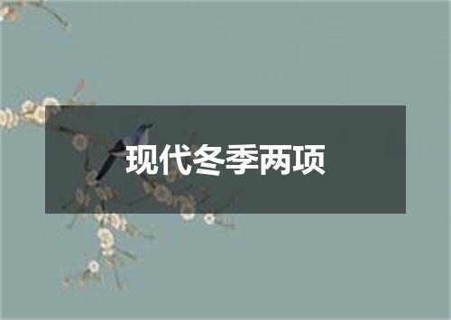 现代冬季两项