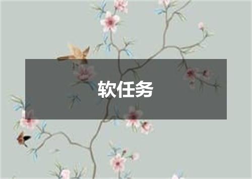 软任务