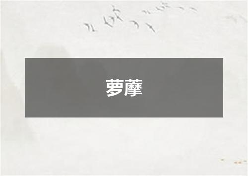萝藦