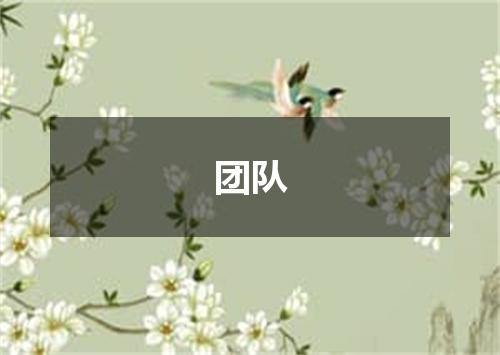 团队