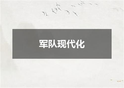 军队现代化