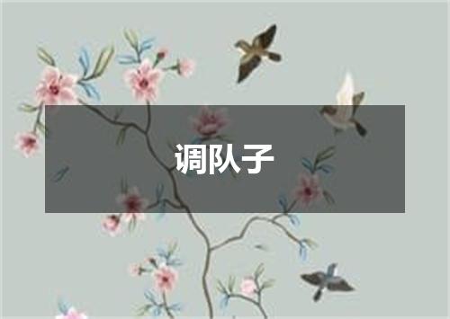 调队子